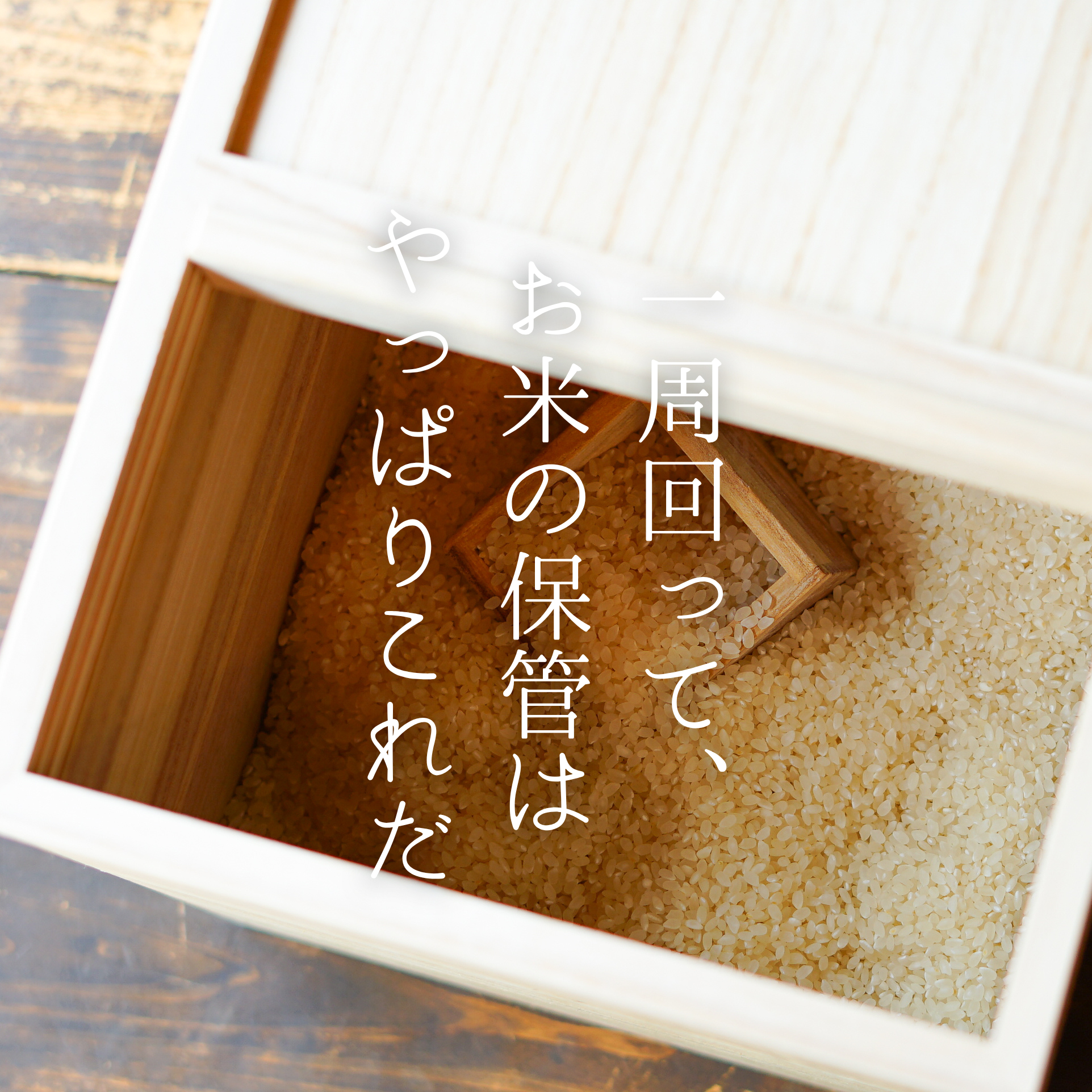 桐の米びつ – 暮らしの道具Coquette 桐の米びつ – 暮らしの道具Coquette