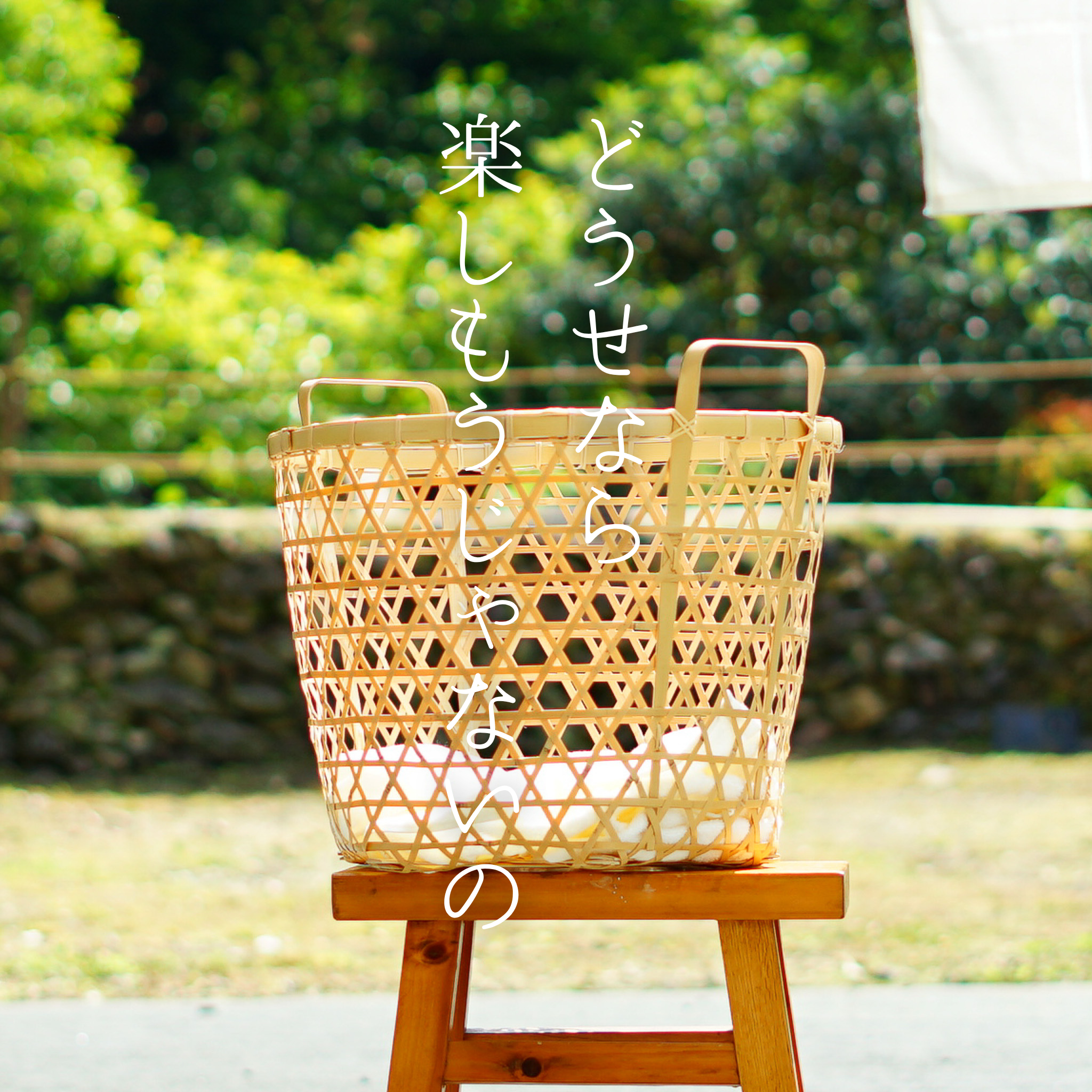 New Items – 暮らしの道具Coquette