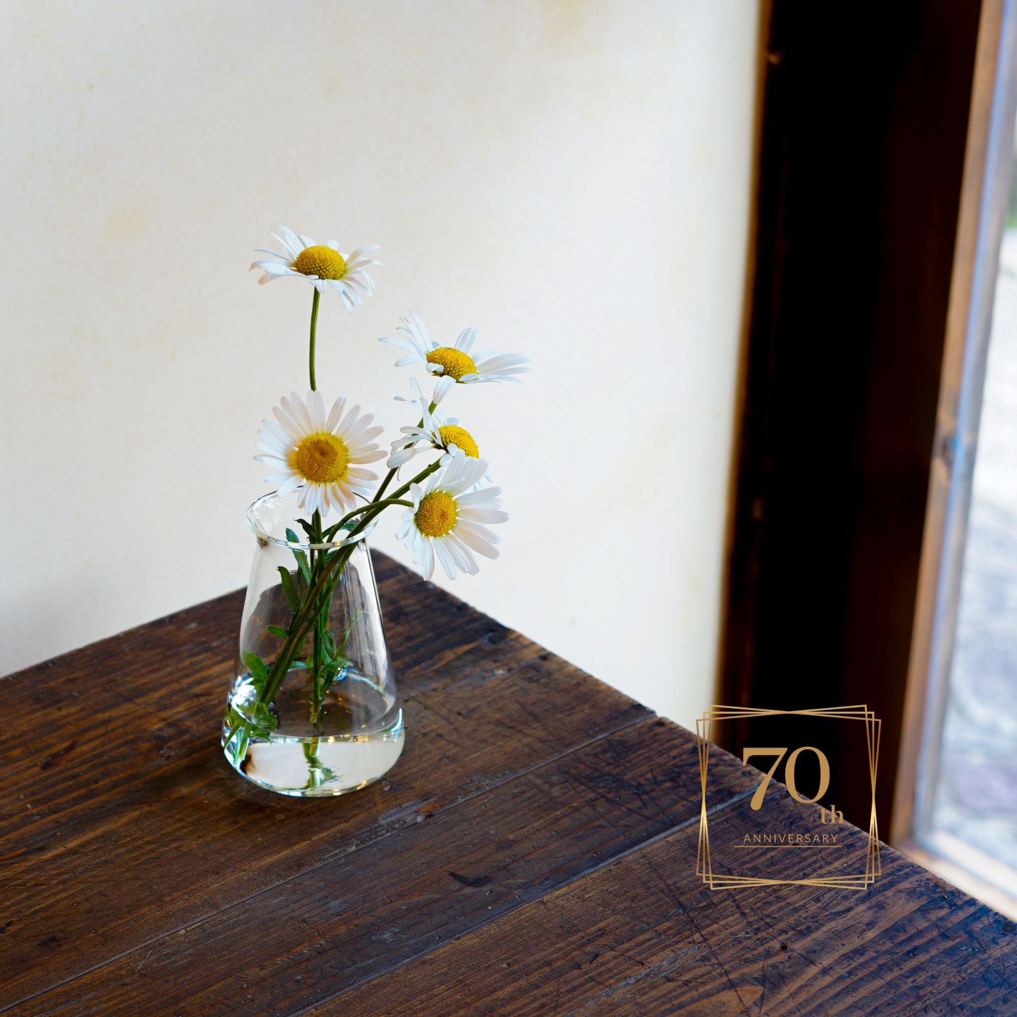 復刻コニカルビーカー/創業70周年記念（日ノ出化学製作所）